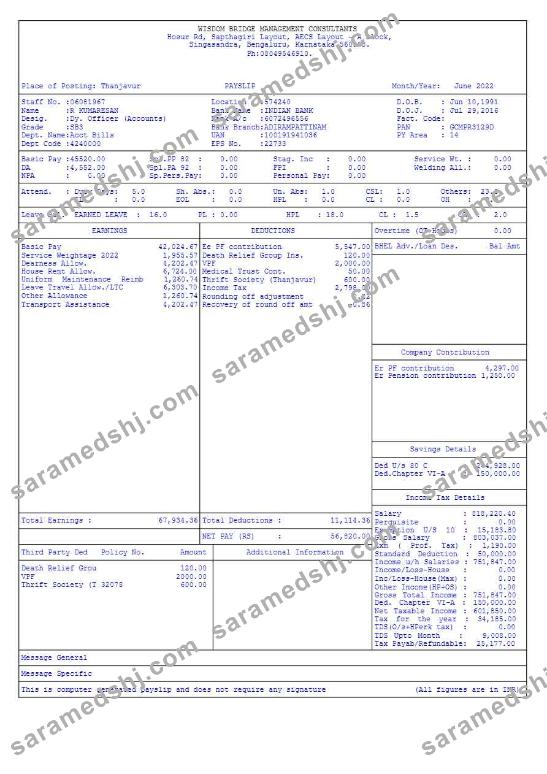 Wisdom Bridge Management Consultants payslip template in Word and PDF formats.pdf, 4